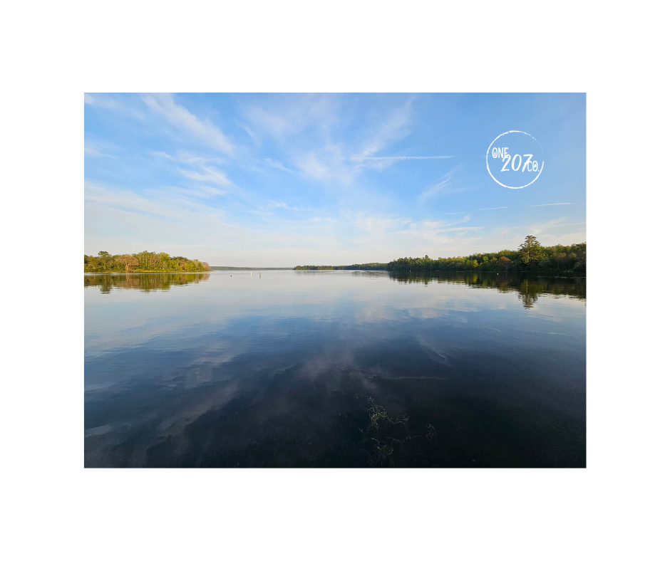 Cloudy and reflective view of Vassalboro side of China Lake with trees in the background.